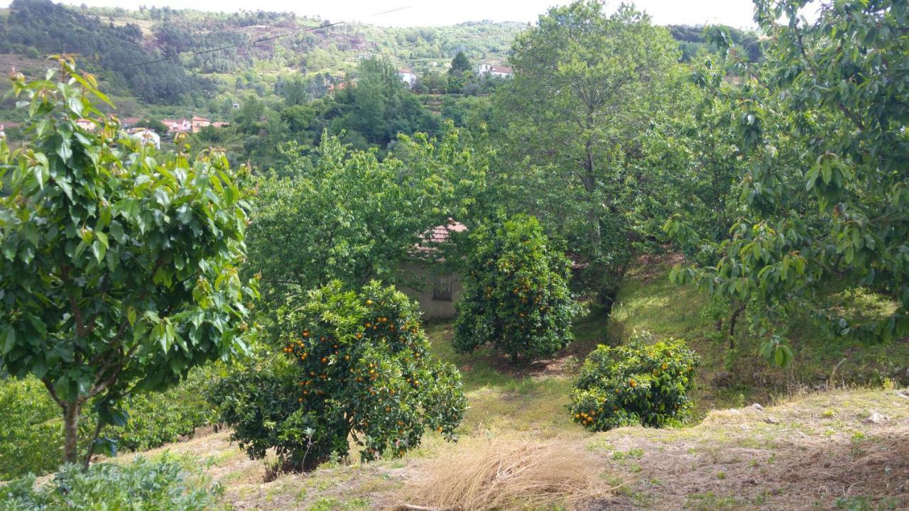 منزل الضيف ريزندي  في Casa Da Eira - Castanheiras المظهر الخارجي الصورة